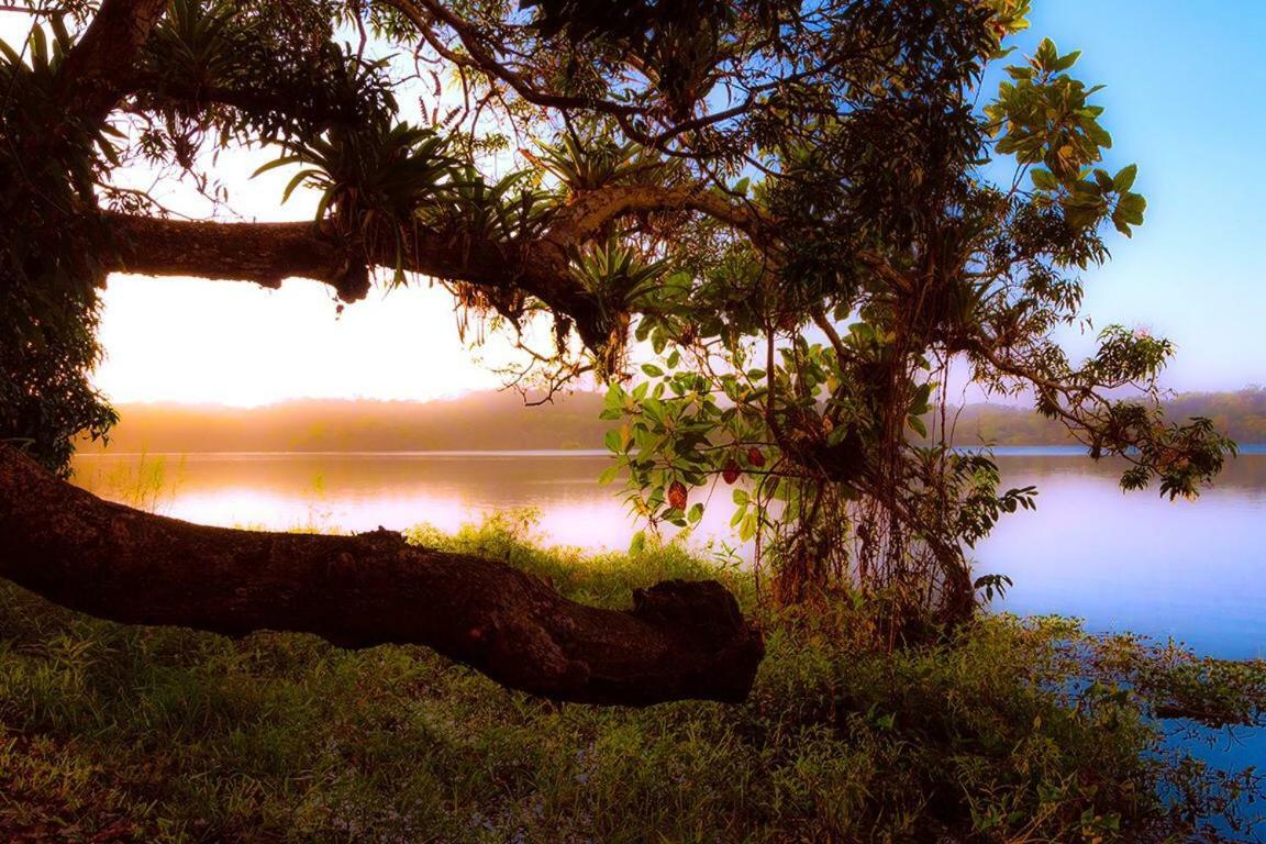 Jungle Eco Reserve Hotel Colon Exterior photo