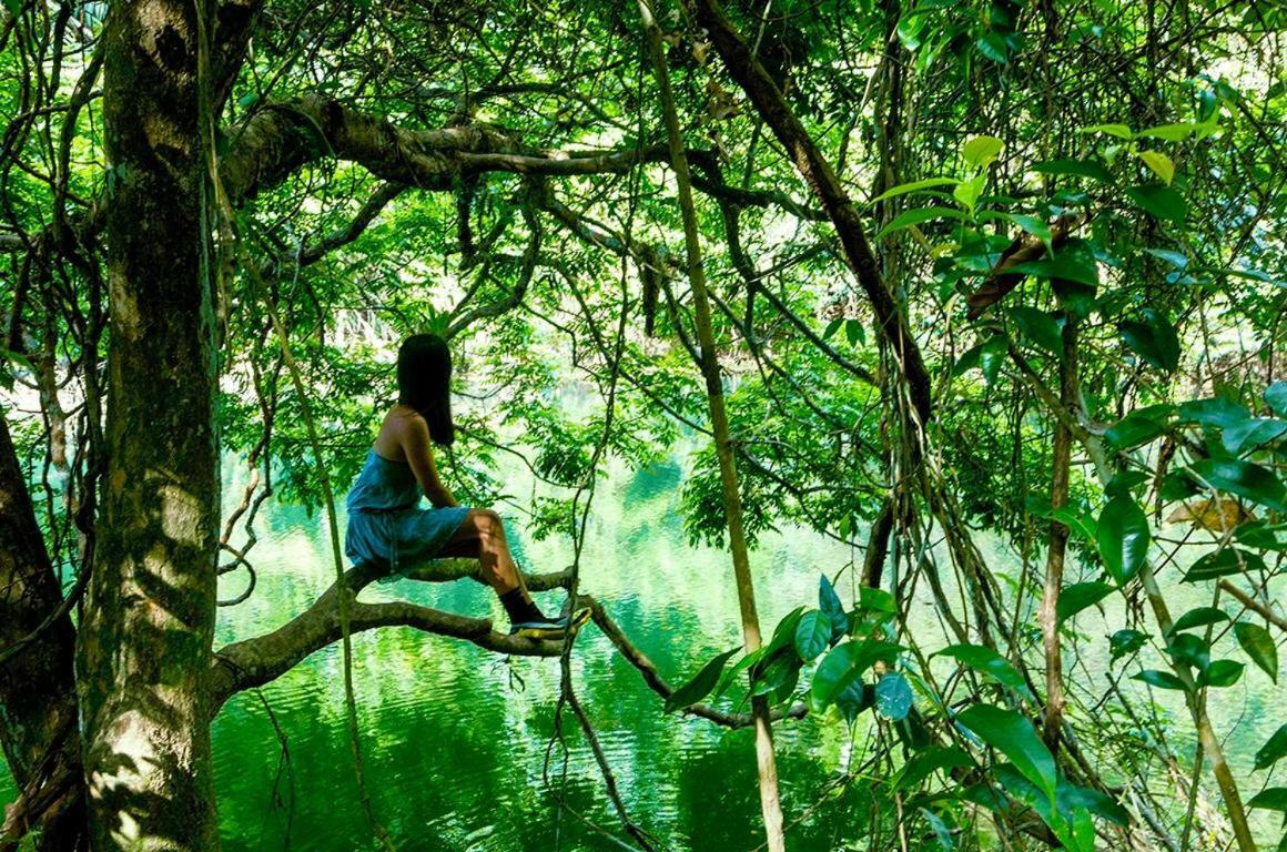 Jungle Eco Reserve Hotel Colon Exterior photo