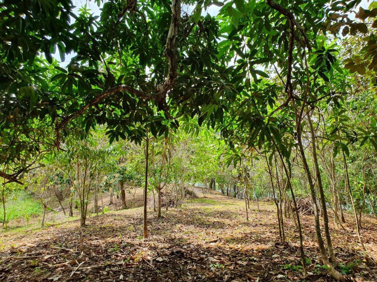 Jungle Eco Reserve Hotel Colon Exterior photo